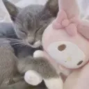 imcnsl
