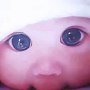 lilylilililo