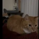 benjamin218652 avatar