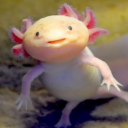 solaritea#4610's avatar