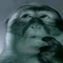 avatar 𓅱𓂋𓏏𓆰