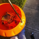 they_fwyoey8's Avatar