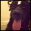 napkimmath