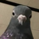 bythbzen
