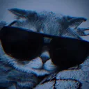 t1mohdev