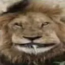 Аватар sushkins_