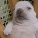 alambrito0420 avatar