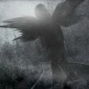 apparentlyraze