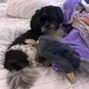 mini.wcue