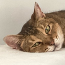 123456789011235789008642368135's Avatar