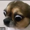 drsausagejr1111