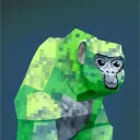 ronygtag