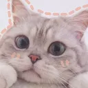jibistrong