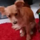 kisekito_77880 avatar