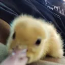 jackson.cccc_01921 avatar