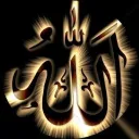 imranzayan5 avatar