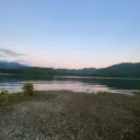 ivy_444