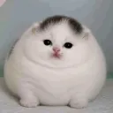 ticklepicklervr_05308