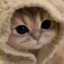.kuzzzi.