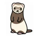 formerly_organicferret96