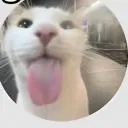 nahtbhthisrandom