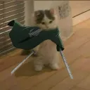 papitasconqueso_71396 avatar