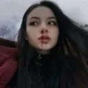 zengerxd.