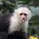 avatar galileohumpkins