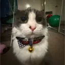 bingg0000