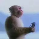 n5m2