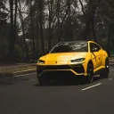 vaebgang