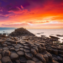 kovacs.aron.jo_64185