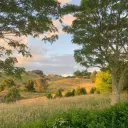 harpwyn.