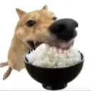 sagadasareias