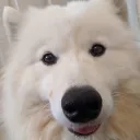 mewlul