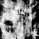 🌙🥶MoonFreeze🥶🌙