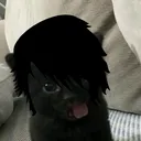 1dwk