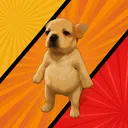 sammyupat