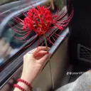 xiexieni0309_96314
