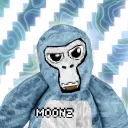 moonz_gtag11
