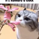 sigmadaniel42 avatar