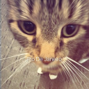 avatar croissant 🥐