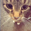 avatar croissant 🥐