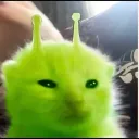 angeluiwjj avatar