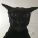 2.trb_isaiah's Avatar