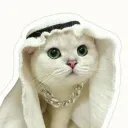 habibi.santa avatar