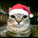 nathanthekingfr's Avatar