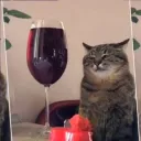 christian058579 avatar