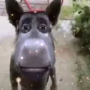 _whyyougay_
