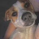 alejo78u_72528 avatar